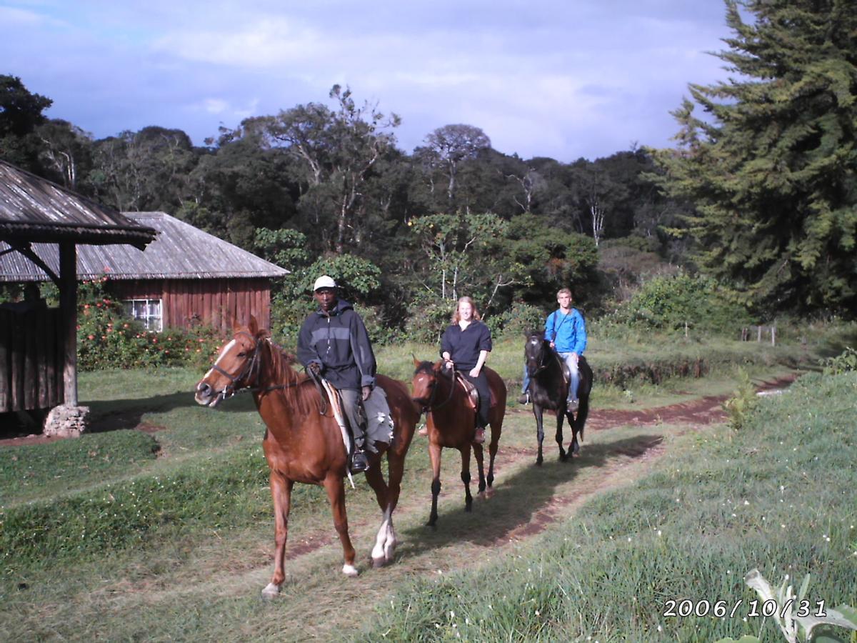 Castle Forest Lodge Mount Kenya National Park Exterior photo