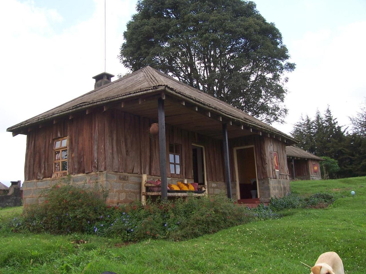 Castle Forest Lodge Mount Kenya National Park Exterior photo